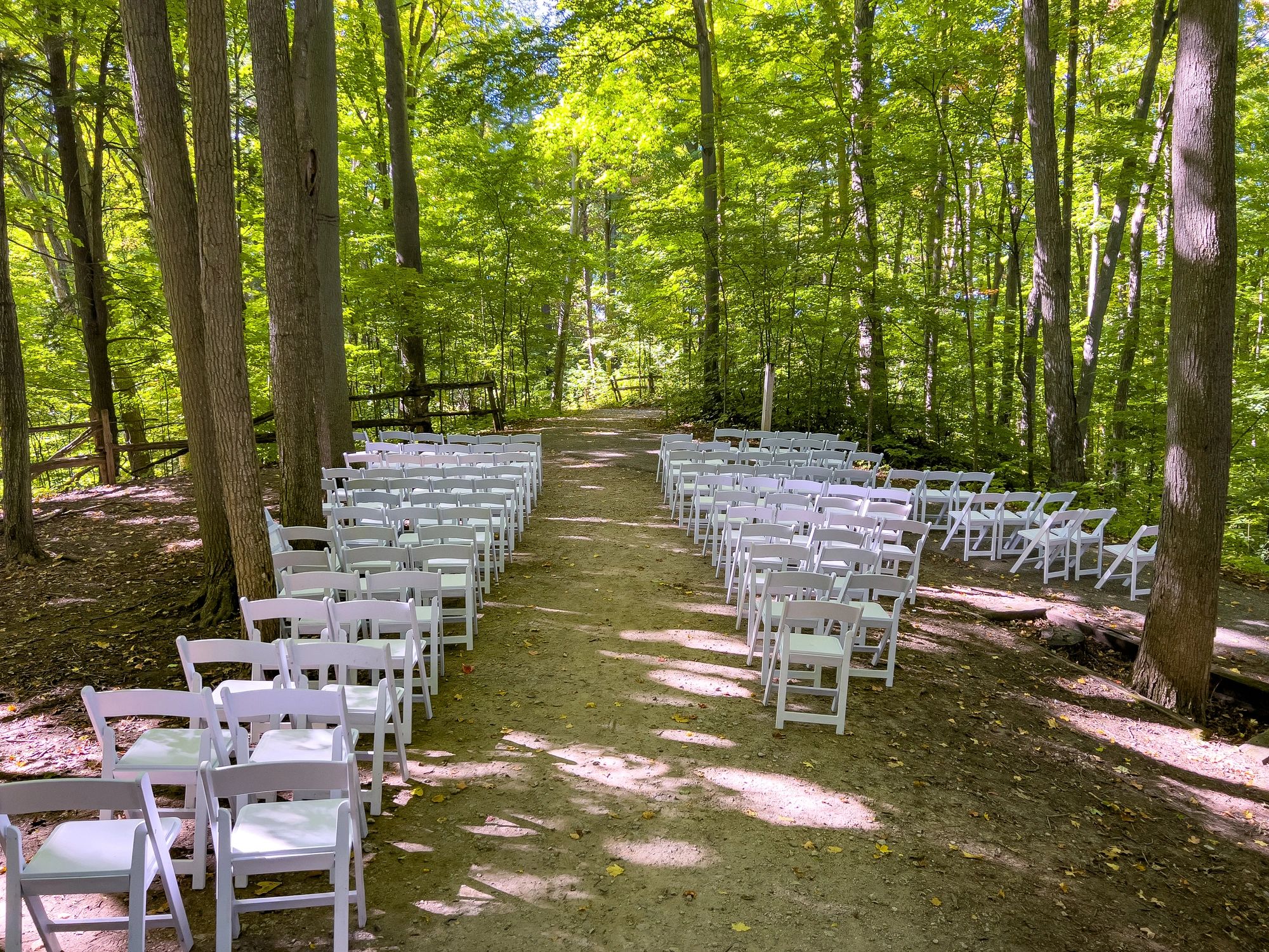 wedding photography Toronto